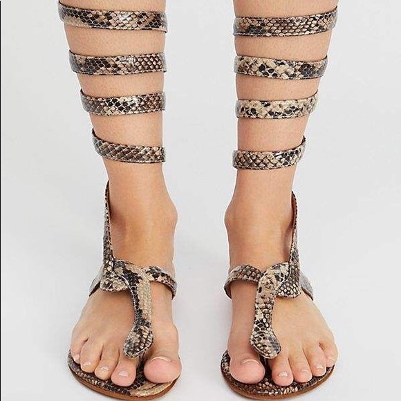 Free People Shoes - Free People Jeffrey Campbell Boa Gladiator Sandal